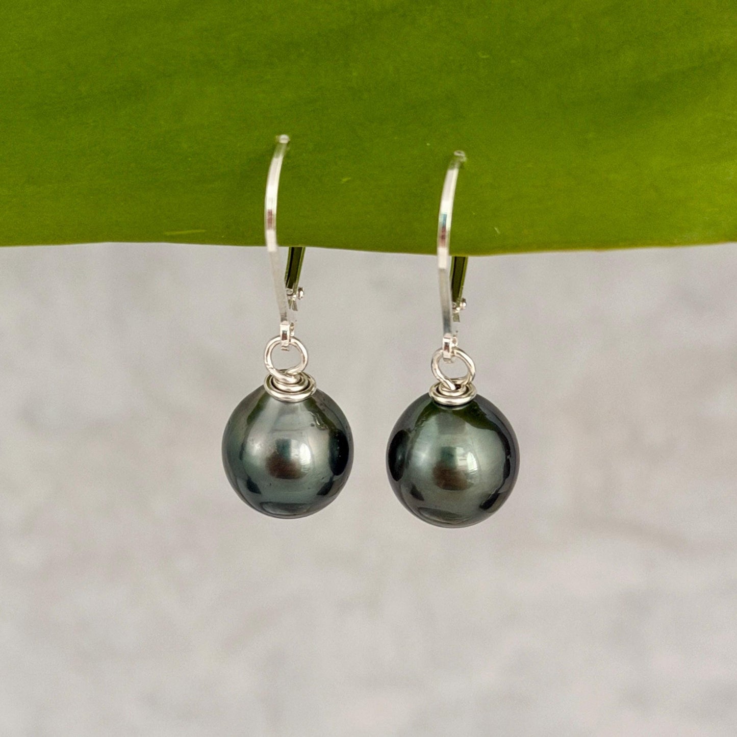 Tahitian Pearl Leverback Earrings • short drop earrings • dark Blue