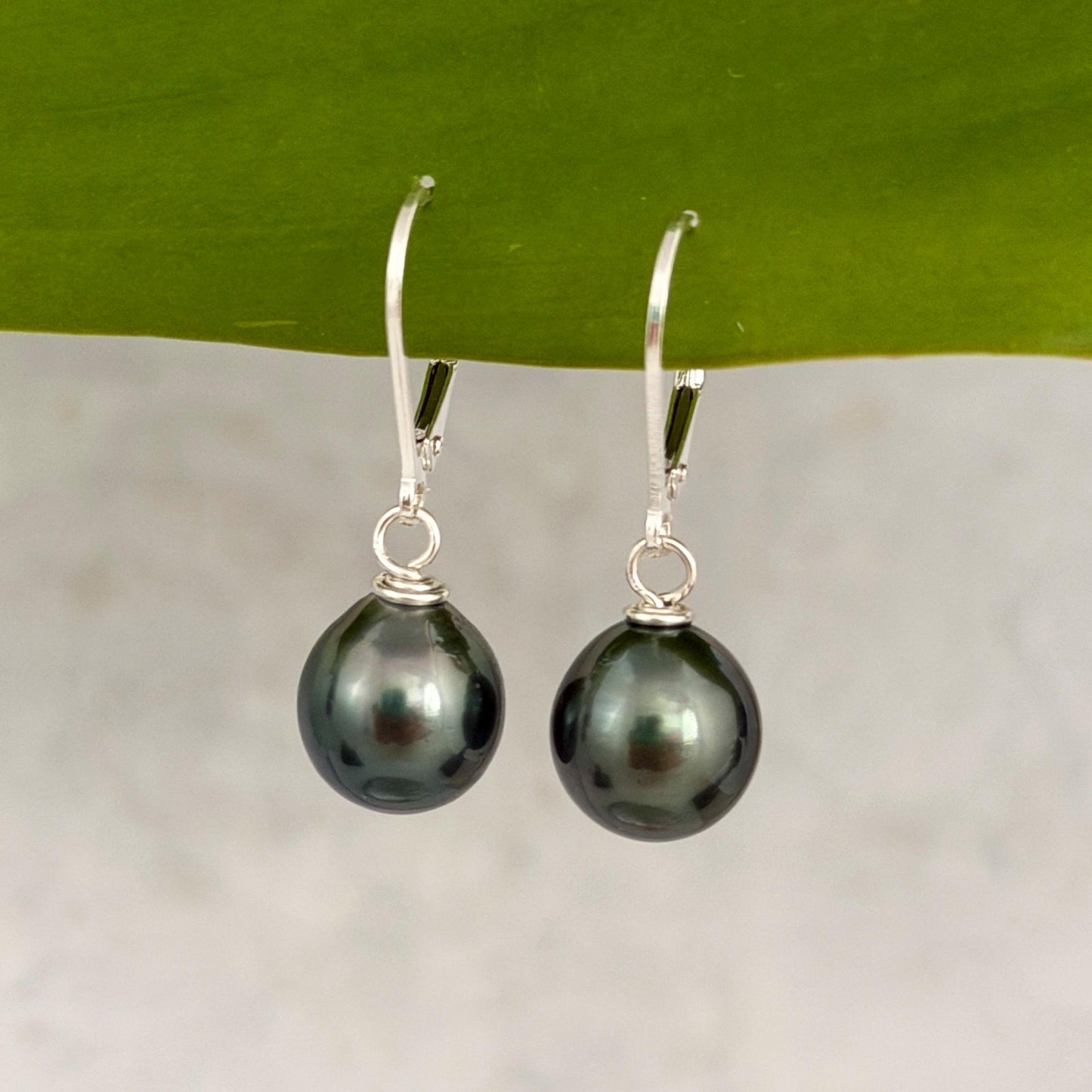 Tahitian Pearl Leverback Earrings • short drop earrings • dark Blue