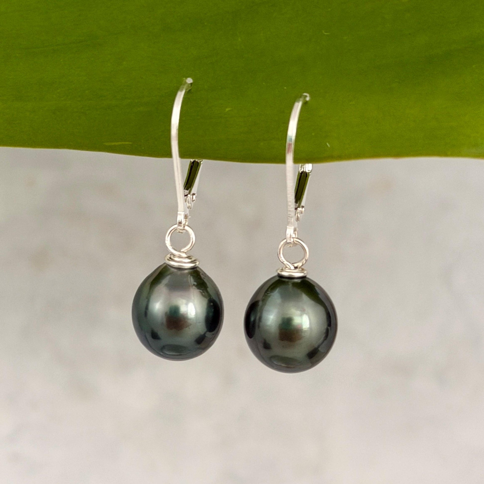 Tahitian Pearl Leverback Earrings • short drop earrings • dark Blue
