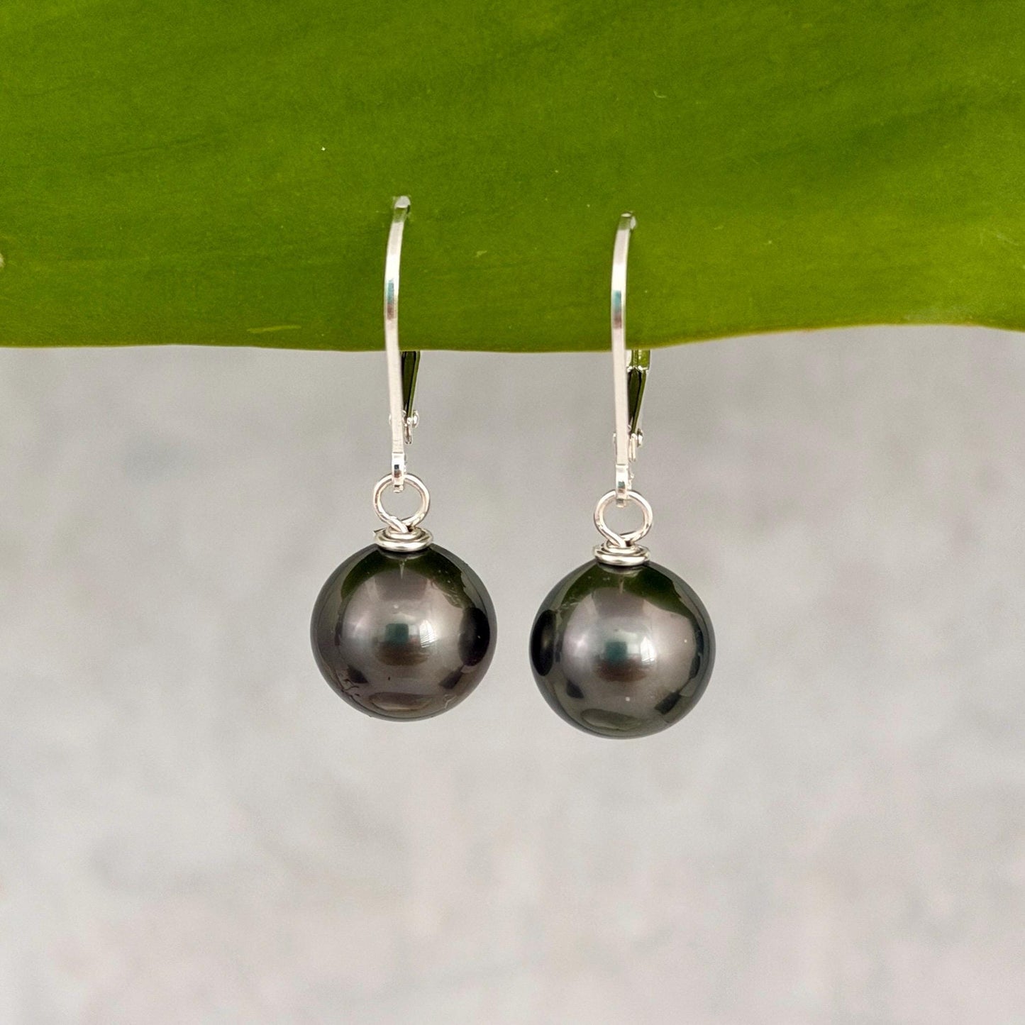 Tahitian Pearl Leverback Earrings • short drop earrings • dark pink