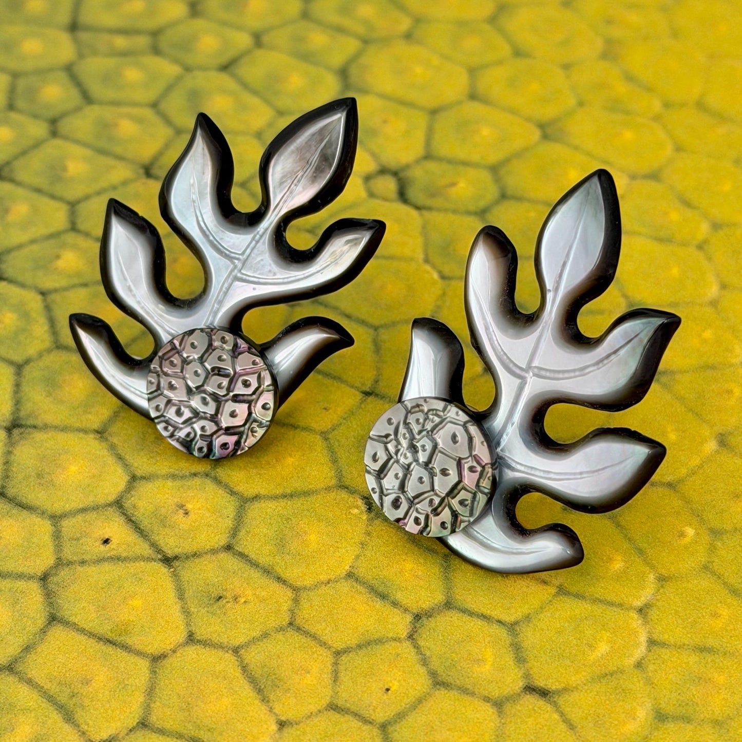 3 in 1 Mother of Pearl Shell earrings • Ulu shape • Tropical Breadfruit