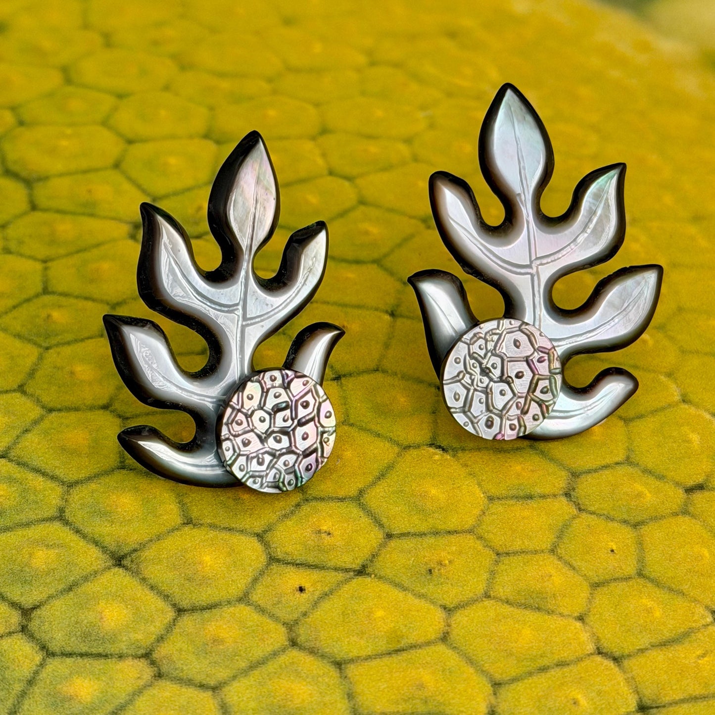3 in 1 Mother of Pearl Shell earrings • Ulu shape • Tropical Breadfruit